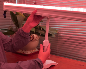 c7157b91eb9b102d56232e7d4dc1b38