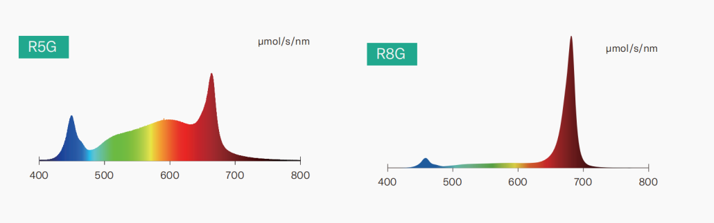 e0ecc1d2075784492056b46e6b26332
